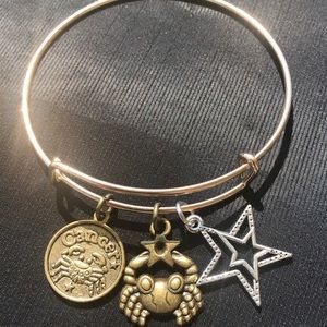 Cancer ♋️ Coin charm bangle